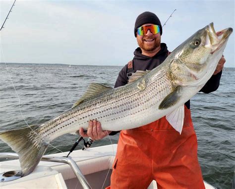stripers online nj|The 7 Best Striped Bass Fishing Charters in New Jersey.